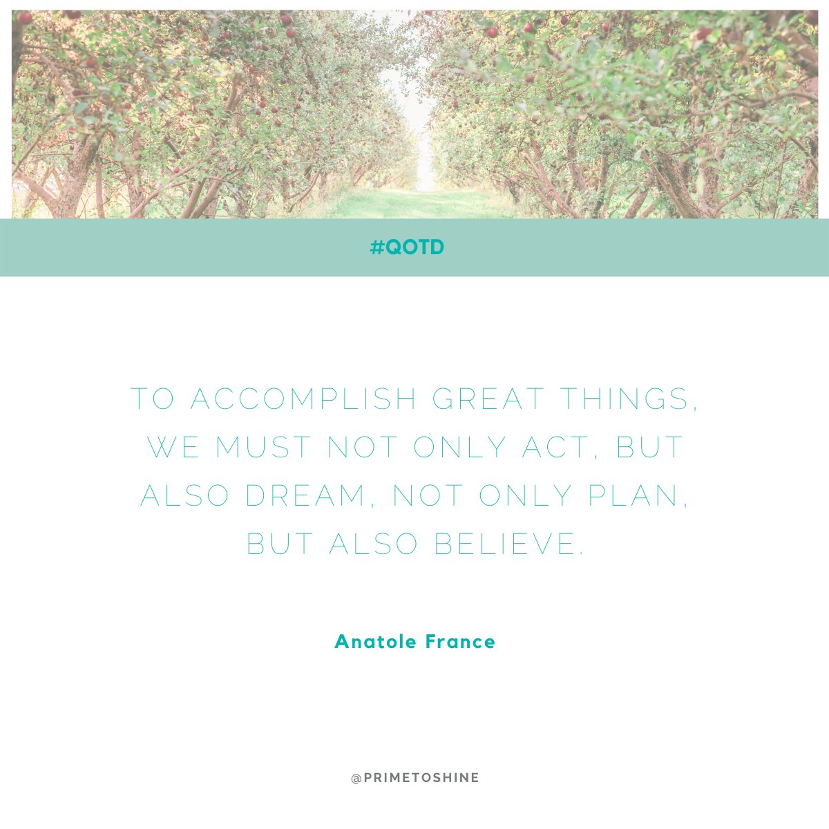 primetoSHINE's tweet photo. Our mindset matters. Our dreams and belief in ourselves can inspire us to put our plans into action!
#P2S #primetoSHINE https://t.co/6UiAvsrJ1J