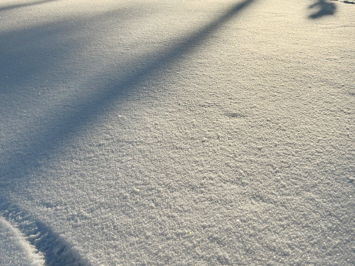 We woke up to find a blue sky and a thin layer of snow. The kids gasped and said: diamonds! #nofilter