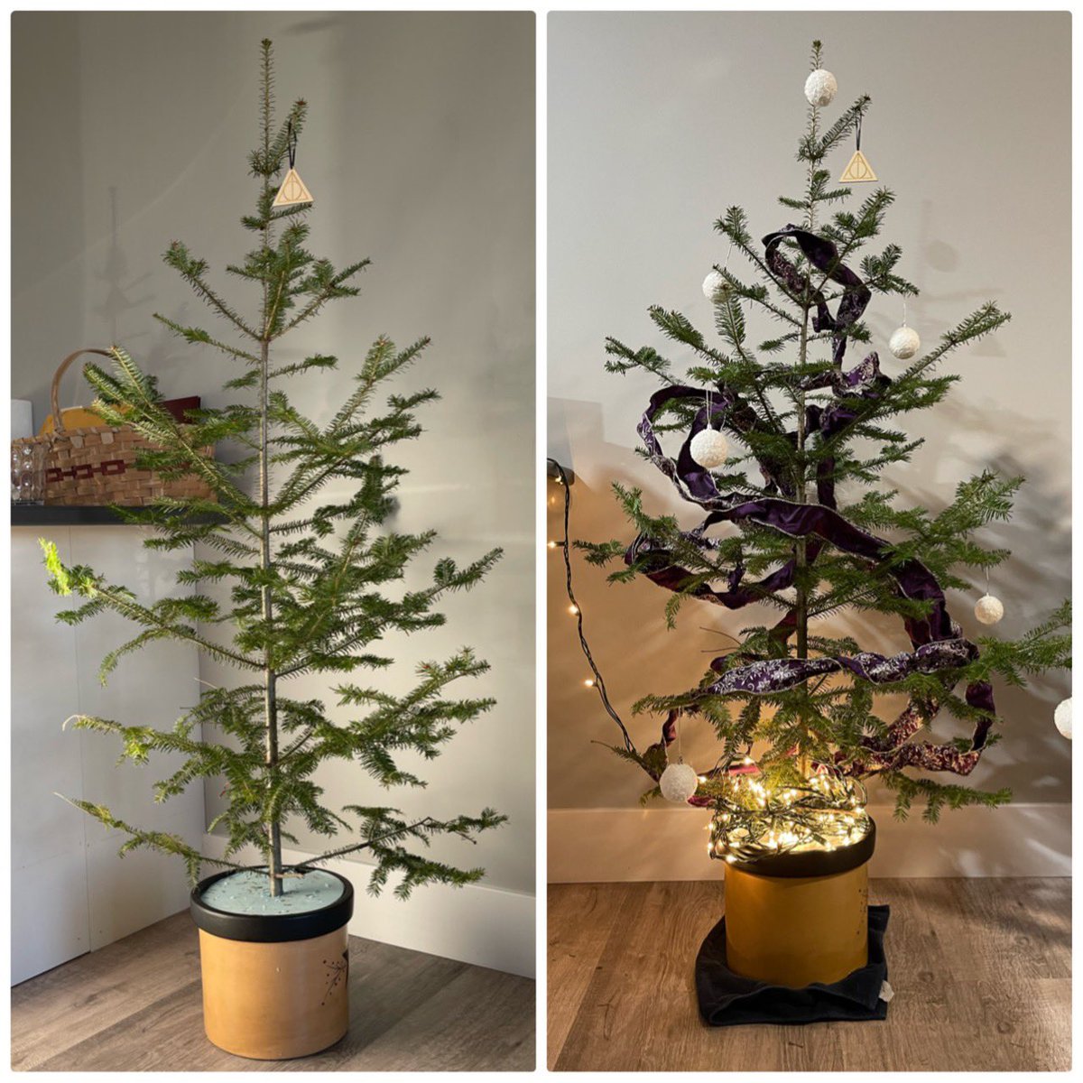 I was looking for a Charlie Brown tree this year. I accomplished that goal!!