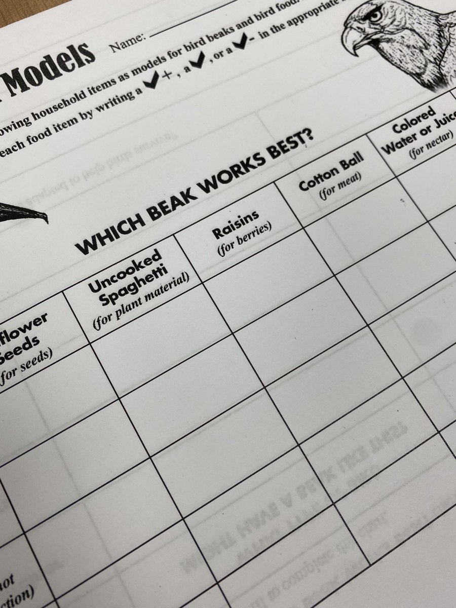 TweetinEagleLR's tweet photo. Exploring animal adaptations - which beak works best? #thirdgradethinkers #LRelem https://t.co/2MzLYc7Npx