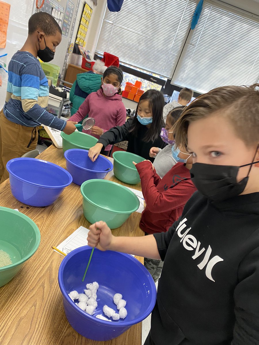 Exploring animal adaptations - which beak works best? #thirdgradethinkers #LRelem
