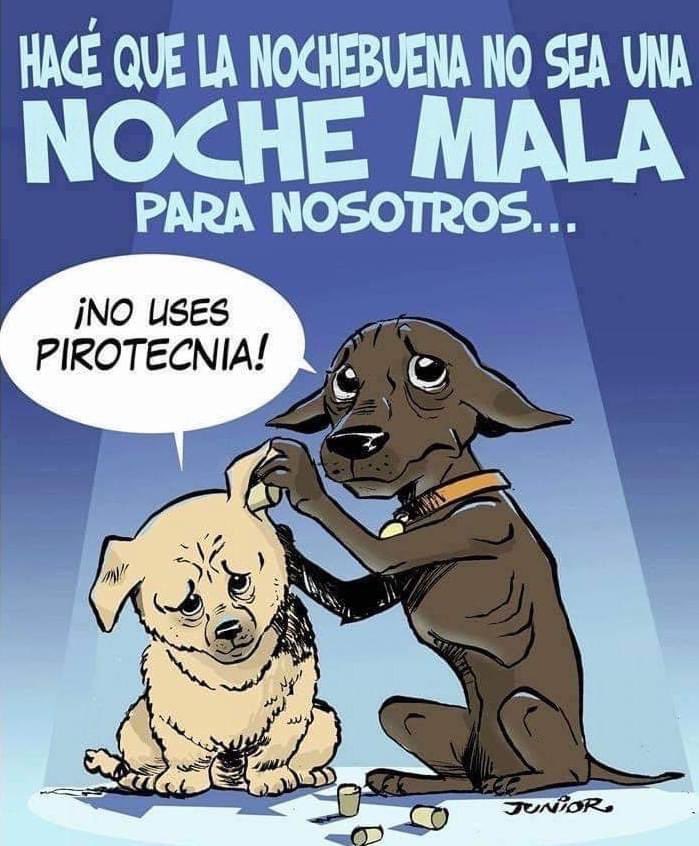 ManraidMG's tweet image. Las personas de mal corazón no entienden el dolor que le causan a los pobres animalitos 😔😔que pecadito con ellos, solamente las personas que amamos los animalitos entendemos eso😪😪😔😔