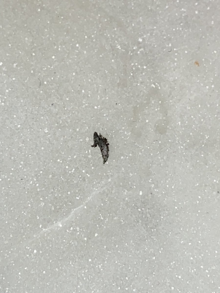 embracetherath's tweet photo. Halfway through my packet of @Tesco ham and I found a piece of metal 🙃 https://t.co/z3QvsYzhXp