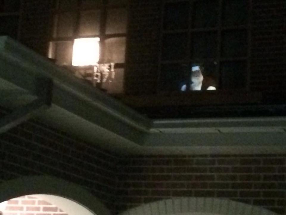 Santa will be at H-L working in the Media Center.  He should be visible from the front parking lot. Starting Monday December 20th at 6:00pm to 10:00pm every night up to Christmas Eve.