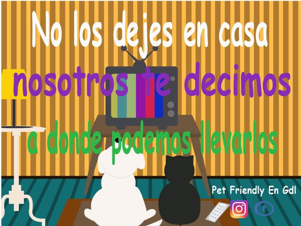 GdlPetfriendly's tweet photo. https://t.co/bgAMW9KBBN