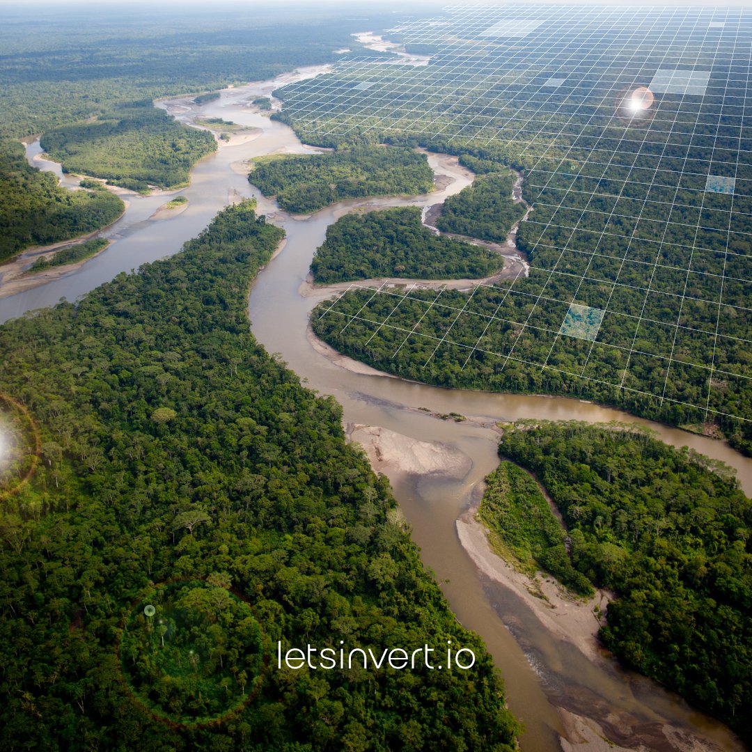 Disrespecting the limits of what seemed possible, we invite you to be the first HOLDER of #NFTs linked to real lands in the #Amazon.

Join in our #1 whitelist to participate in the world's first conserve-to-earn #metaverse.

👉 bit.ly/3ozZE5H