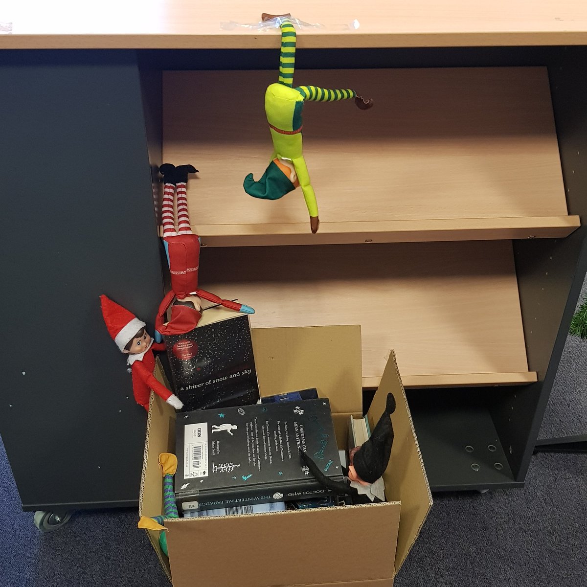 LibLourdes's tweet photo. After a failed attempt to put up the Christmas/winter #LibraryBookDisplay, the elves have infested the in progress tree (work of S4 minions). #ElfOnTheShelf #SchoolLibraries #GlasgowSchoolLibraries https://t.co/kwV3E7dRqH