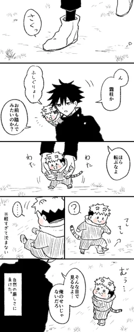 ちび 霜柱 