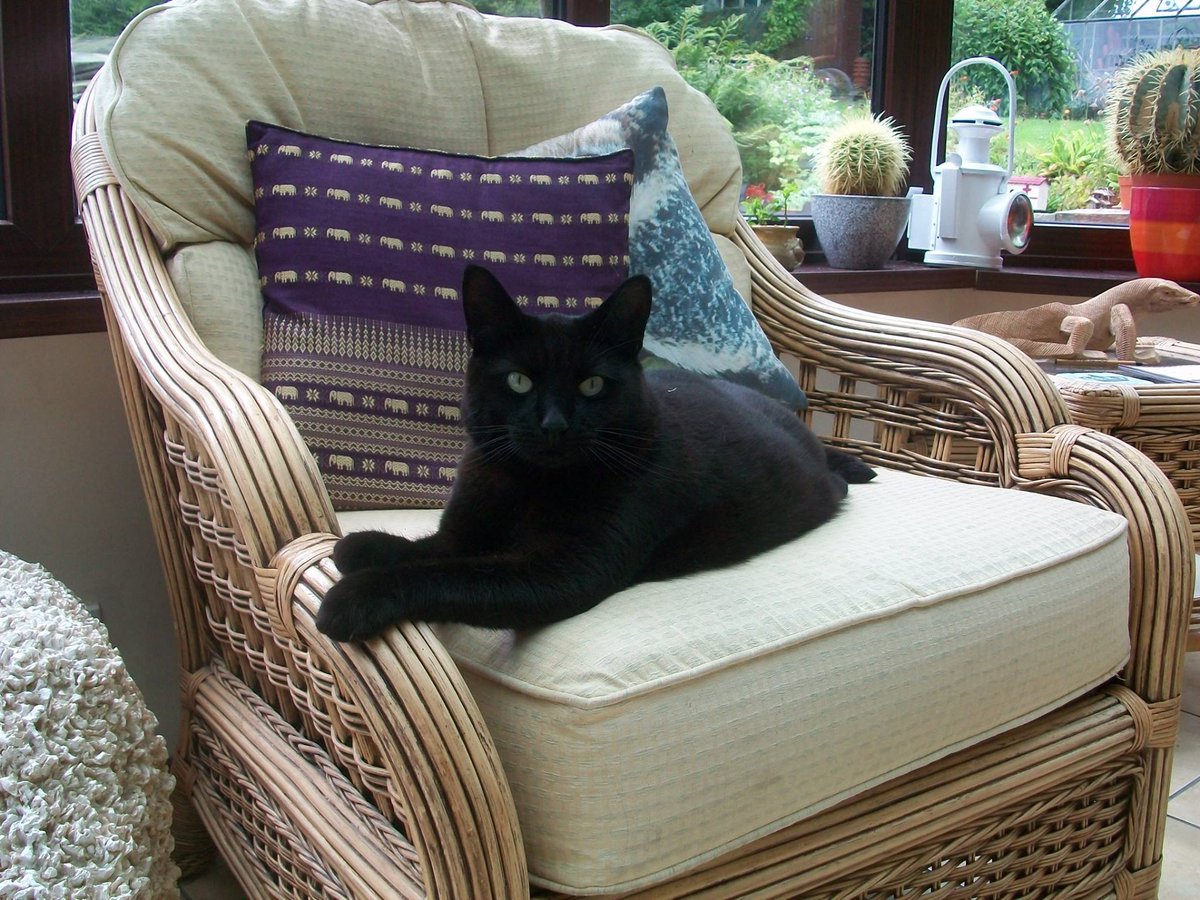 WeAcceptPets's tweet photo. Get away from it all with a stay in one of Broomshaw Country Cottages. They have all the character with the home comforts you would want. Pets are also welcome.🐶🐱
https://t.co/xonVnCbY2B
#Winkhill #Leek #Staffordshire #PeakDistrict #HolidayCottages #PetsWelcome #Escape #ModCons https://t.co/Iq5p3O7dUW