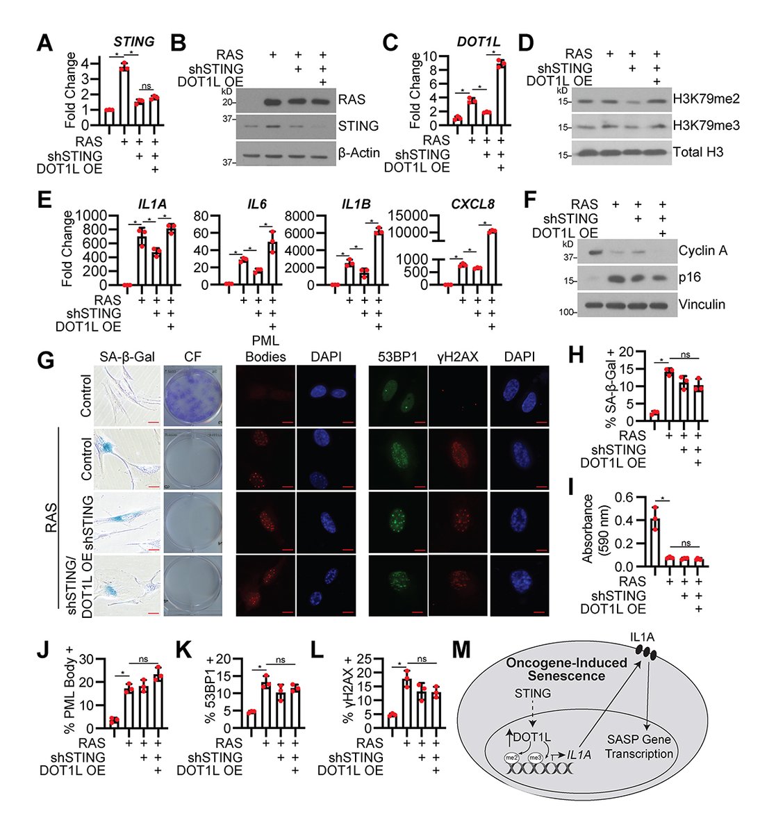 Journal of Cell Biology tweet media