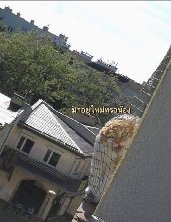 ตลกมา 5 นาทีแลเวววว555555555555555555555555