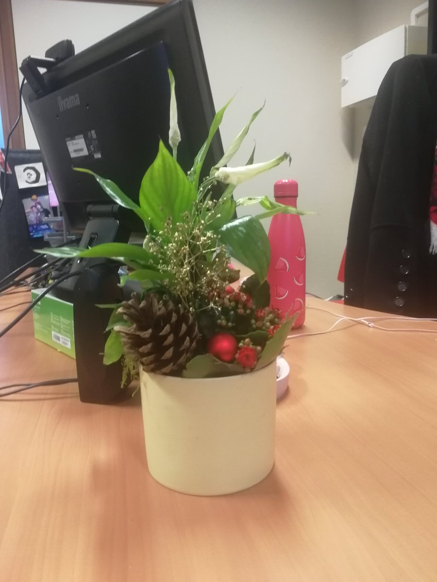 Pour fêter la fin de l'année, on décore notre bureau avec une jolie plante 🌱
En parlant de plantes, avez-vous pensé à mettre Racine dans votre liste de souhaits ?
store.steampowered.com/app/1793170/Ra…