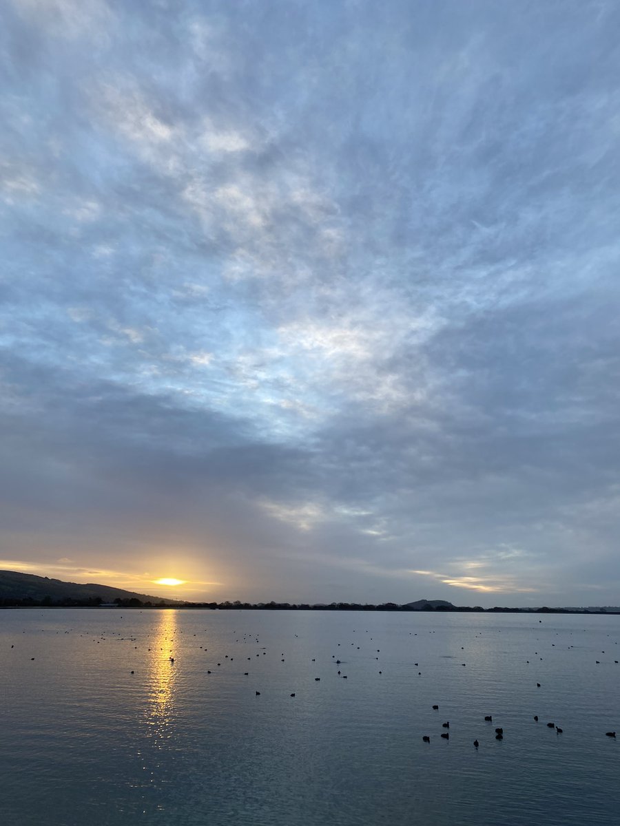 Diane Boothman tweet media