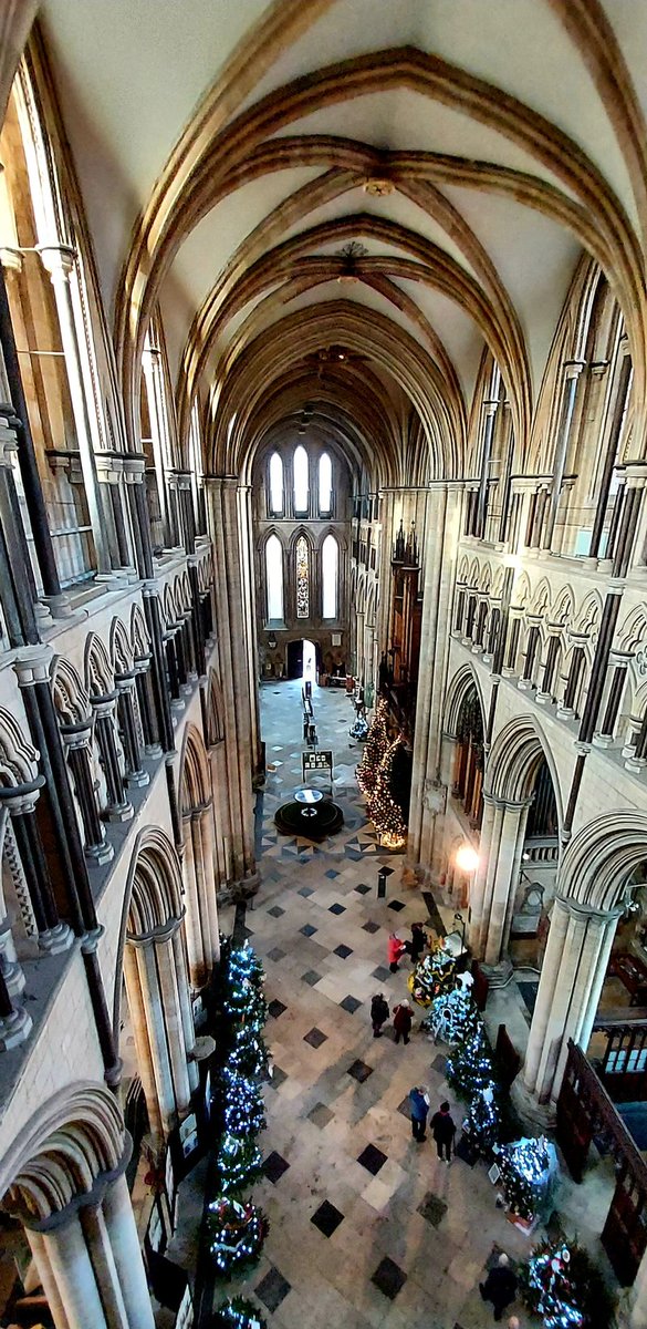 bevminster2 tweet picture