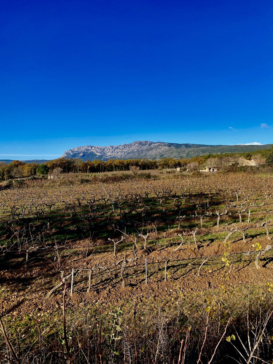 Benjamin Misery tweet media