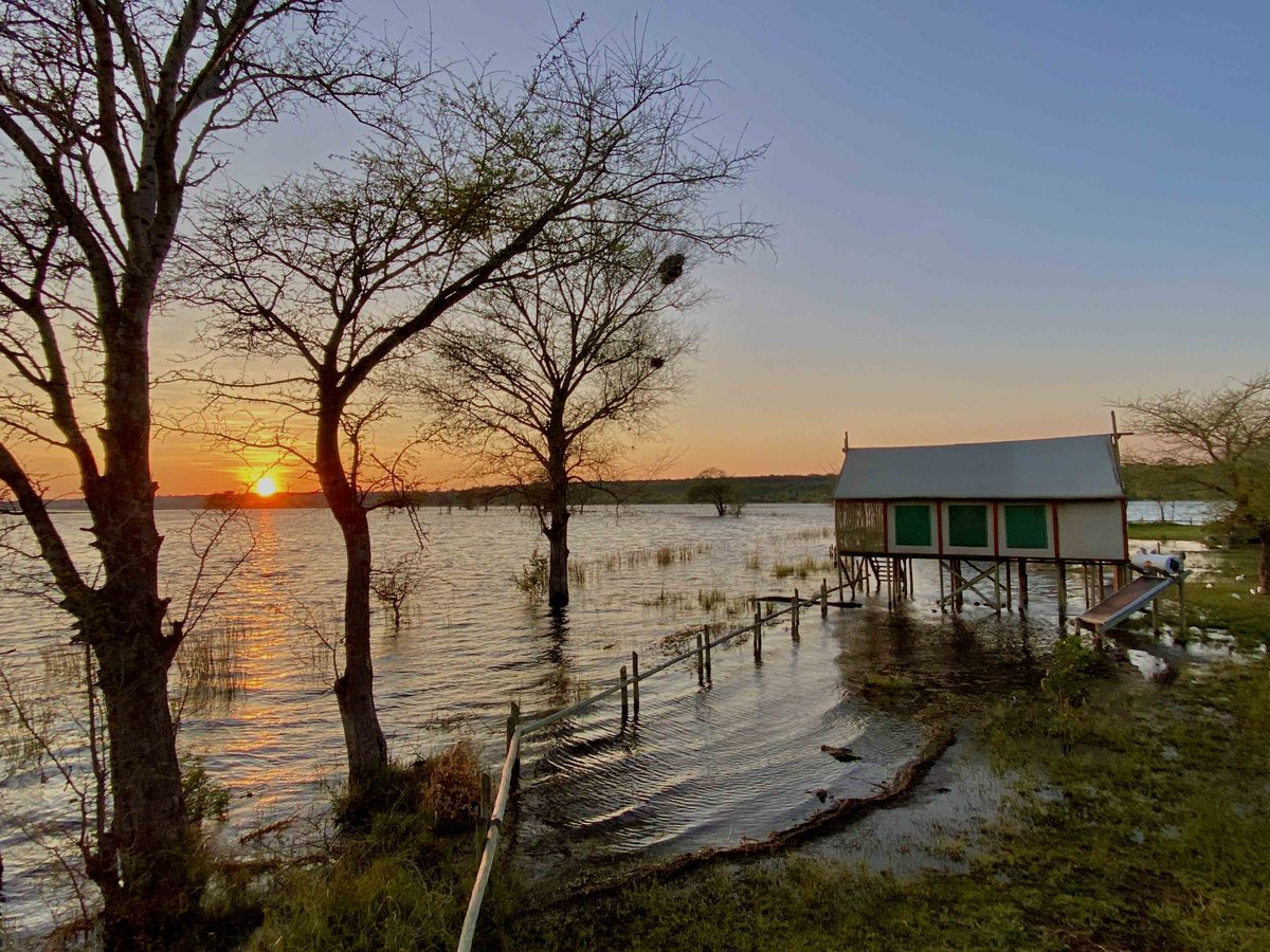 Jack Kruger tweet media