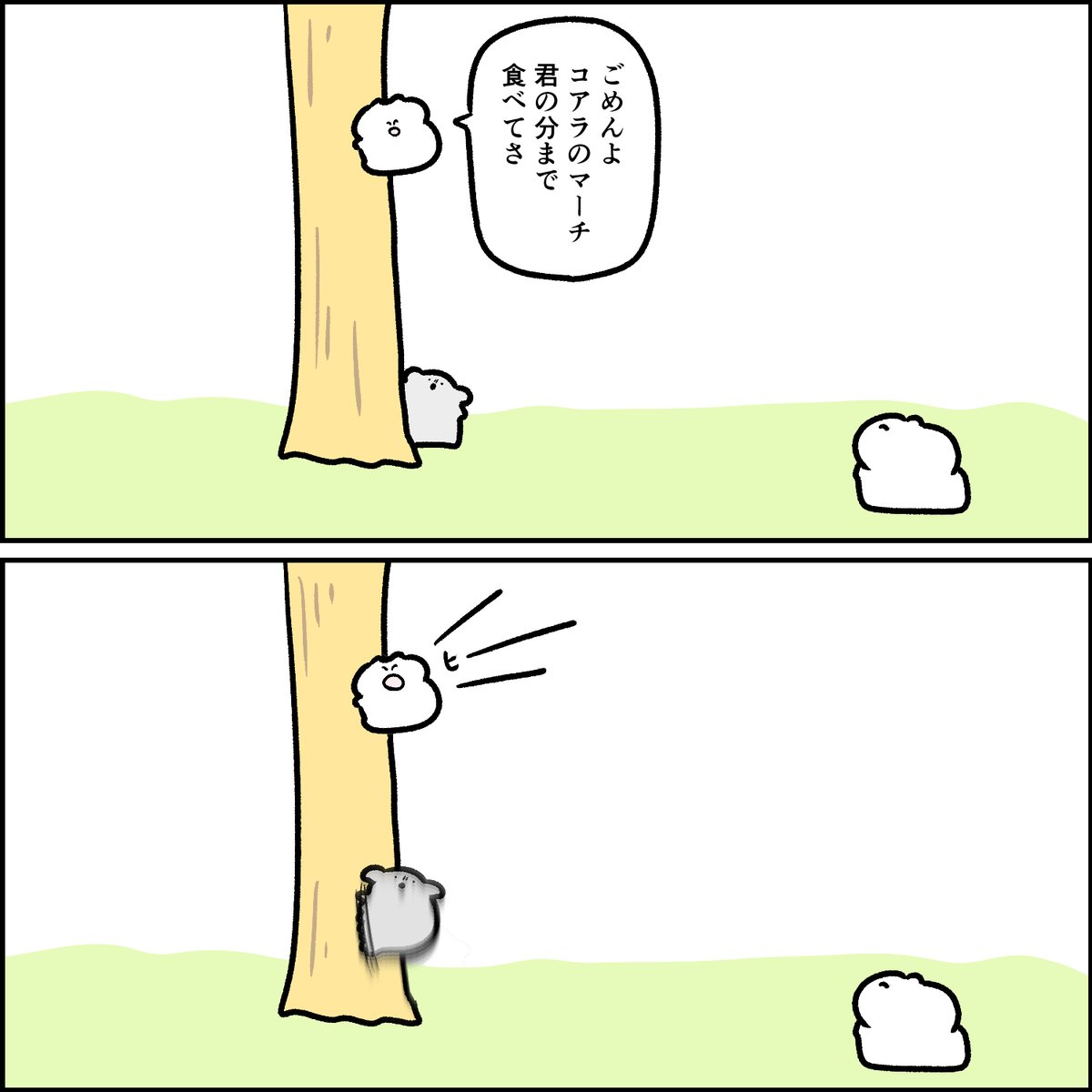 怒るコアラ 