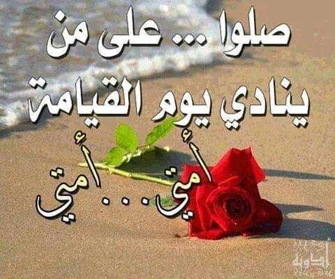 الفتن سالبات العقل وكل مفتون بات خائبا
بفتنتي كسبت عقلي وحسبته يوما اضحى سالبا
ياسائلي عن فاتني قد اختاره الرحمن عنه نائبا
رسول الله وانعم ماخاب من تمسك به قلبا وقالبا 
ليلة جمعة معطرة بالصلاة والسلام على خير الانام