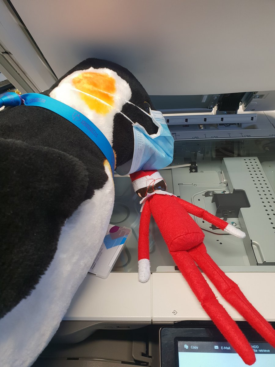 UoPLibrary Penguin tweet media
