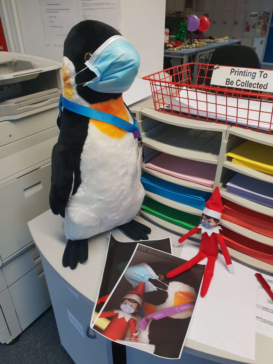 UoPLibrary Penguin tweet media