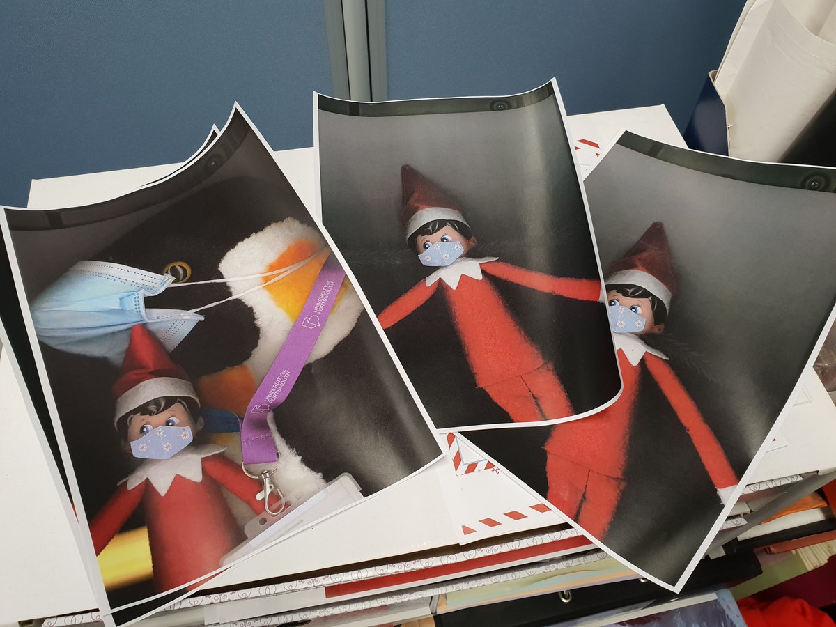 UoPLibrary Penguin tweet media