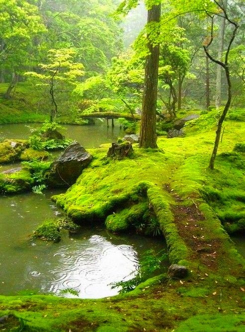 SummerK17742538's tweet photo. Good Day 🟩🟩🟩🟩 https://t.co/aPmuPvzkHb