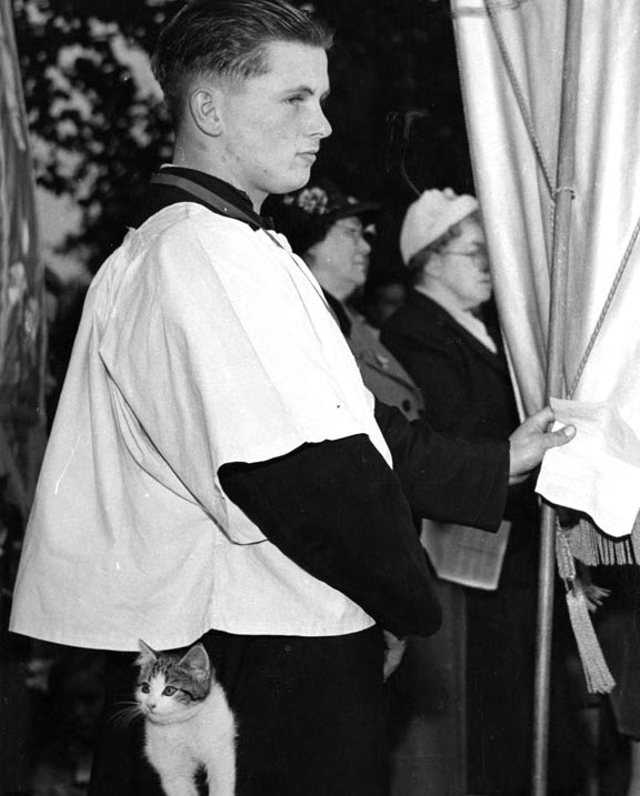 CatcherMedia's tweet photo. Today's Dec 10 #AdventFun archive pic is this choirboy with a cat in his cassock! Has your pet made any unusual appearances? https://t.co/IwWfENwJSK