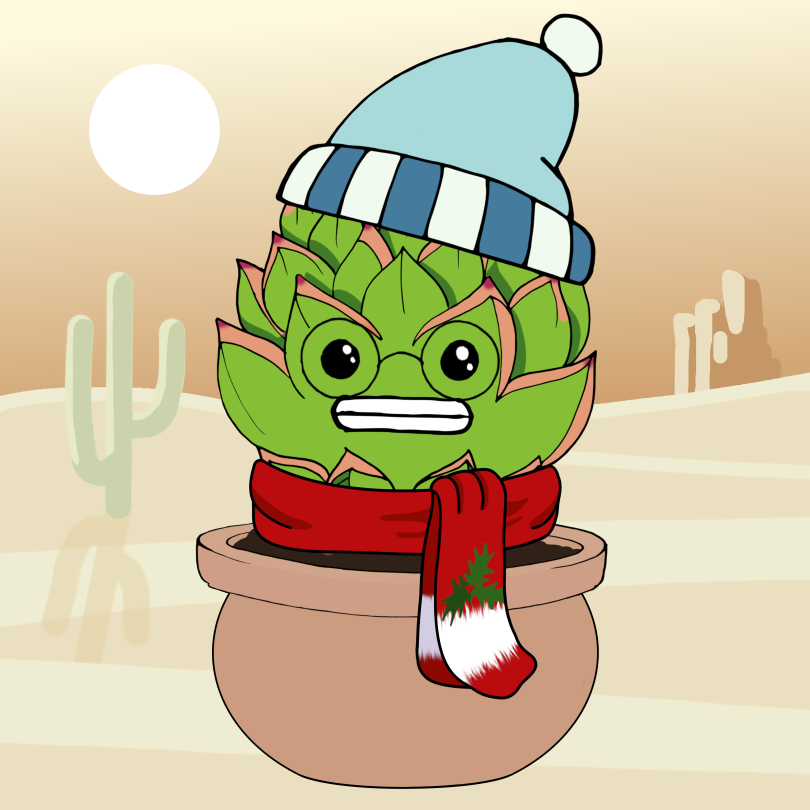 SOLcculents's tweet photo. It gets frosty 🥶  in the desert 🏜️ https://t.co/4n7jyohx6L
