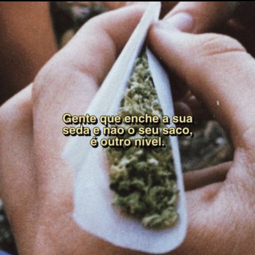 weedboa's tweet photo. 🔥🍁 https://t.co/dHvGj5ly4i