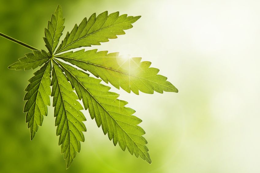 wanaeusa's tweet photo. With Wanae, you can buy with confidence. Here's why: https://t.co/o42d51UbmB https://t.co/qF4t2TAxbz