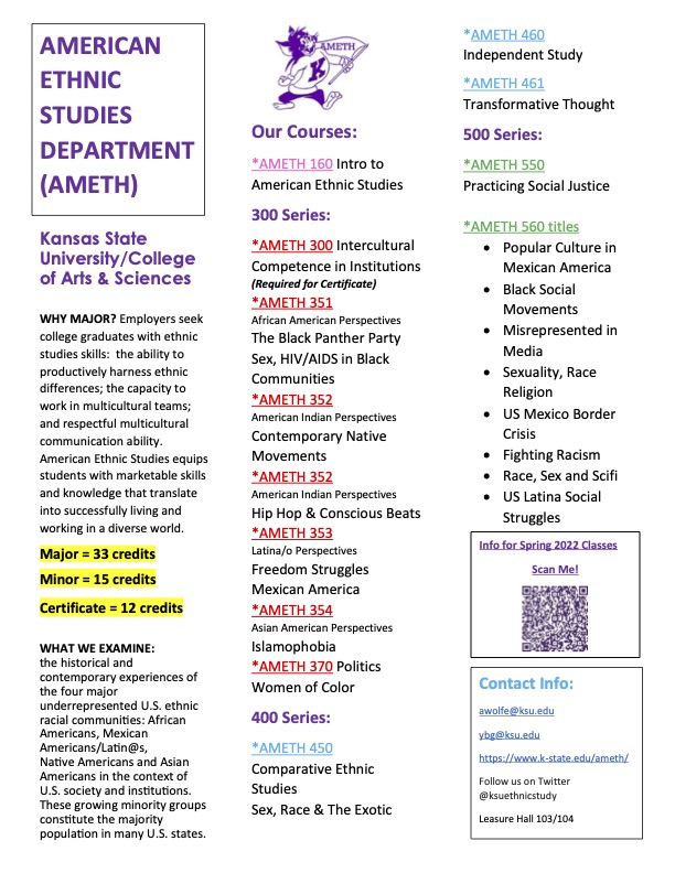American Ethnic Studies (AMETH) tweet media