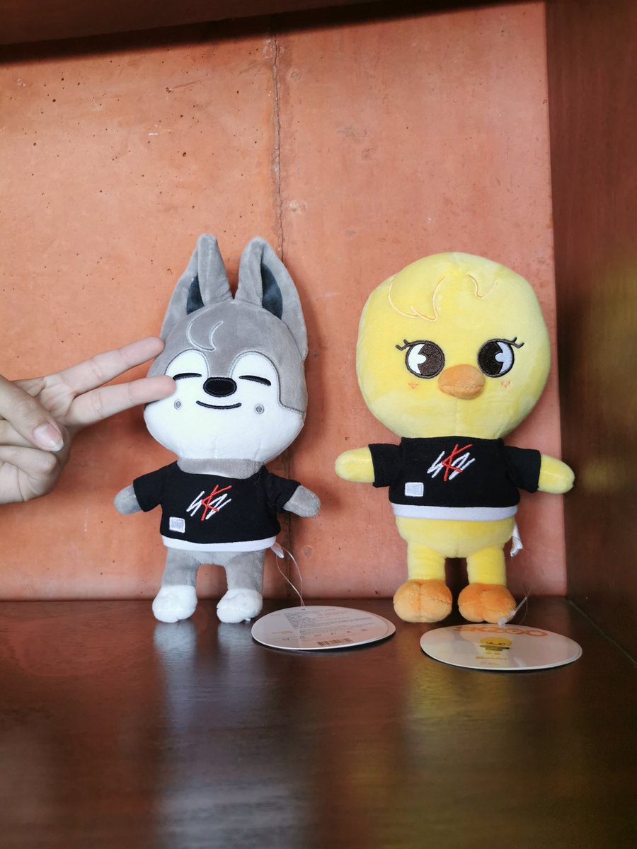 WBbokari's tweet photo. Wolfie, noonas &amp; yo decimos que:
we vote for #straykids on #MAMAVOTE https://t.co/9cnF2MkS5i