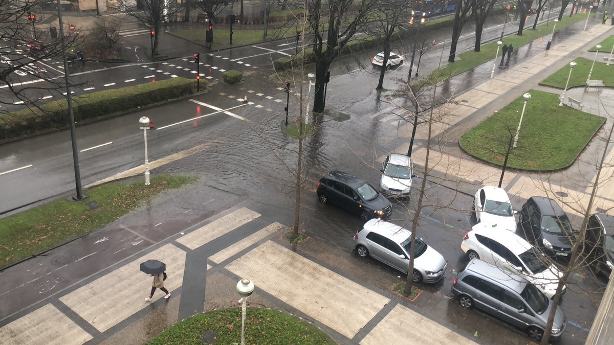 Joseph Walker tweet media