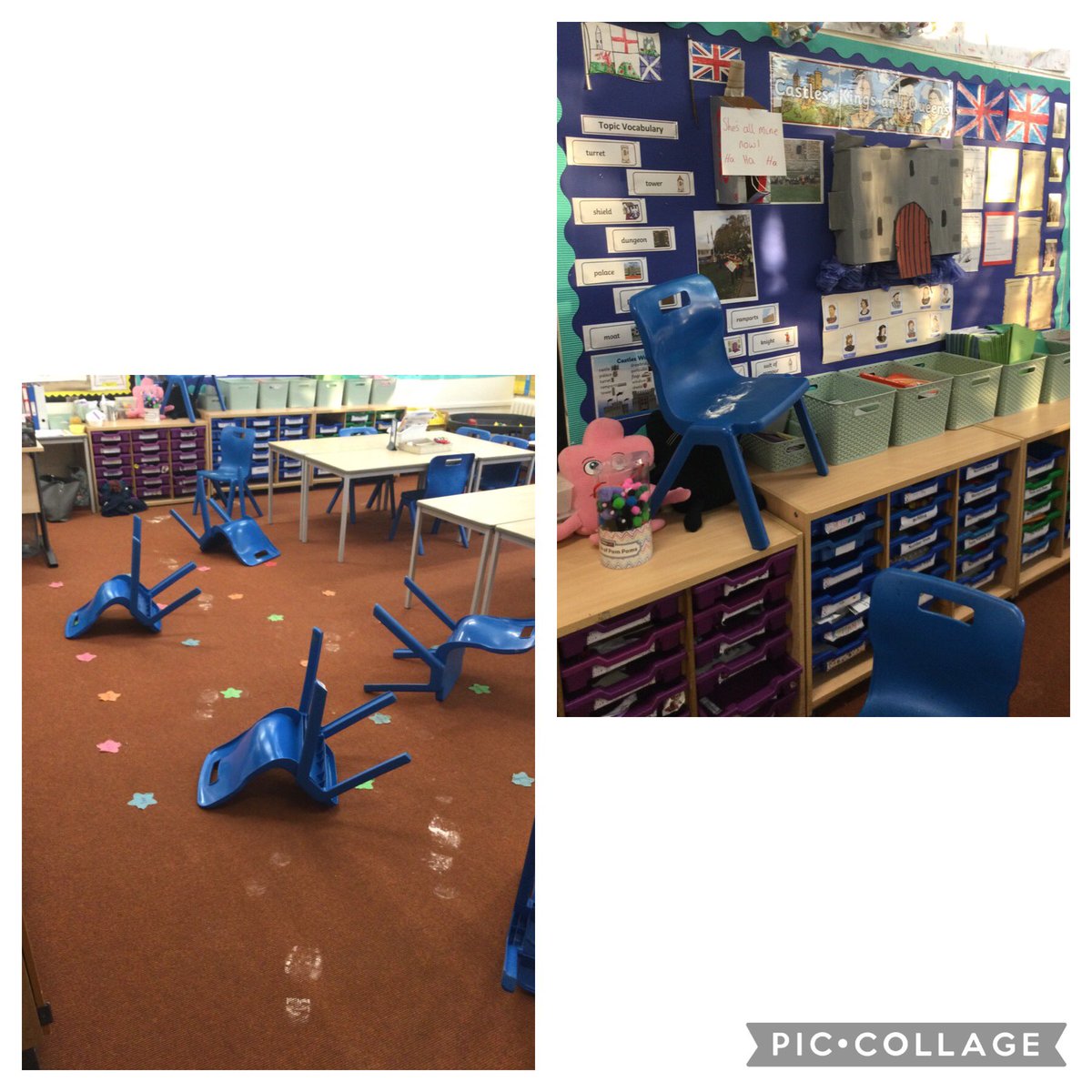 Shotley Zebras tweet media