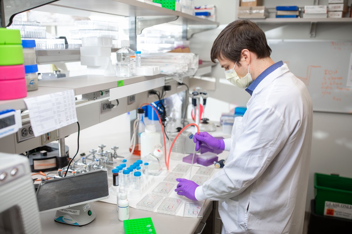 MayoRegMed tweet media