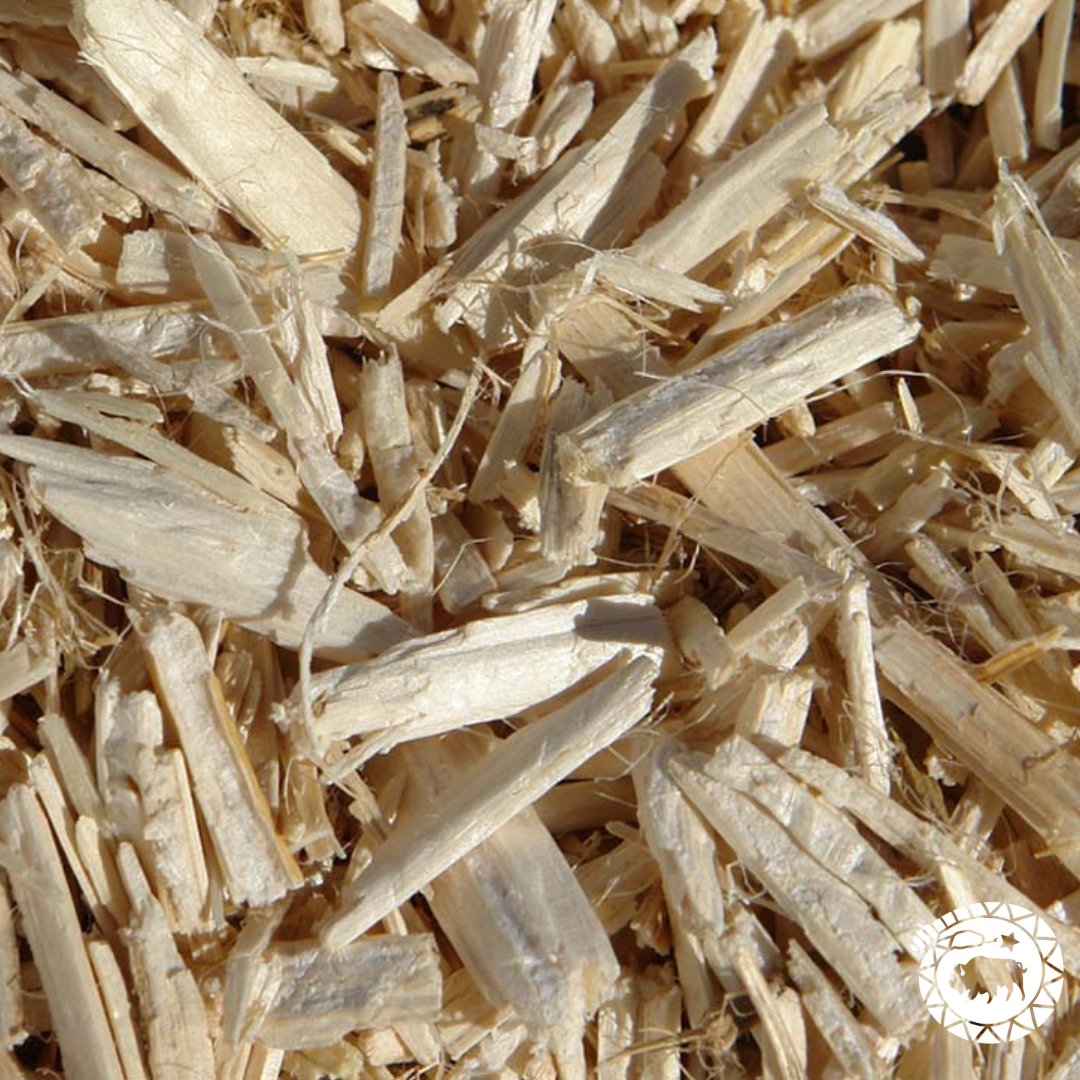 High Grade Hemp Seed tweet media