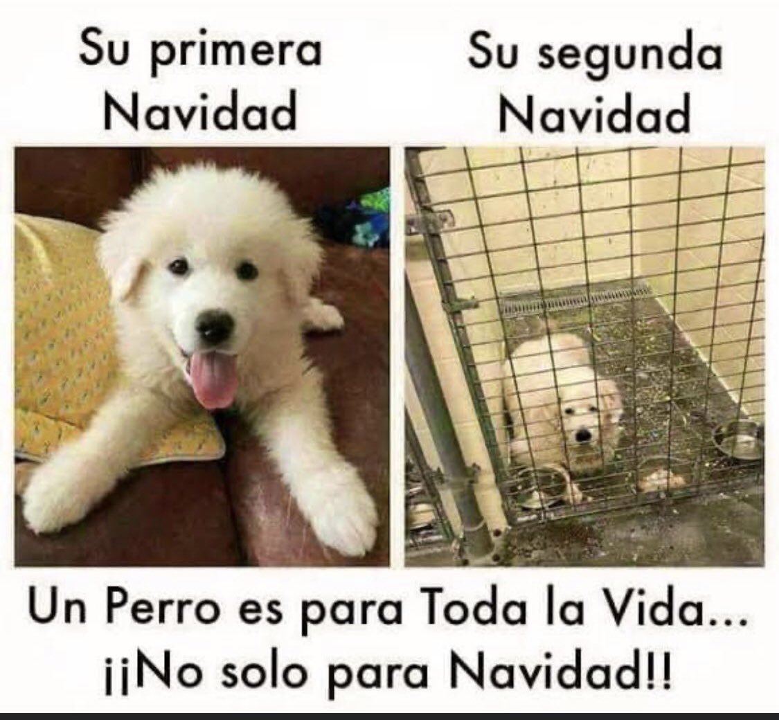 greenhugmx's tweet photo. Mejor regala algo de https://t.co/eFjTxSWp8C 🤗 https://t.co/WC4xSDN2ue