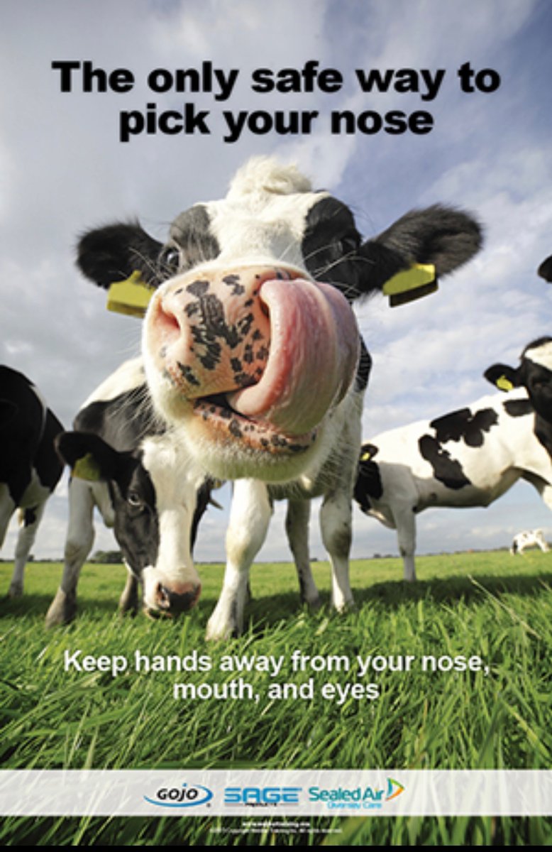 DchsControl's tweet image. A gentle reminder. If you touch your face/face mask whilst at work please decontaminate your hands. See DCHS COVID SOP for tips on how to stop yourself touching your face