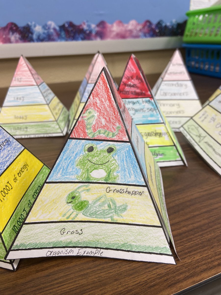 CyprianPungong's tweet photo. Enjoying my AVID students . They created these ecological pyramids to exemplify energy flow in an Ecosystem @MrsShaw_TCC @MrBaskett_Lex1 @TCC_Lexington1 https://t.co/X3e9qNYs6t