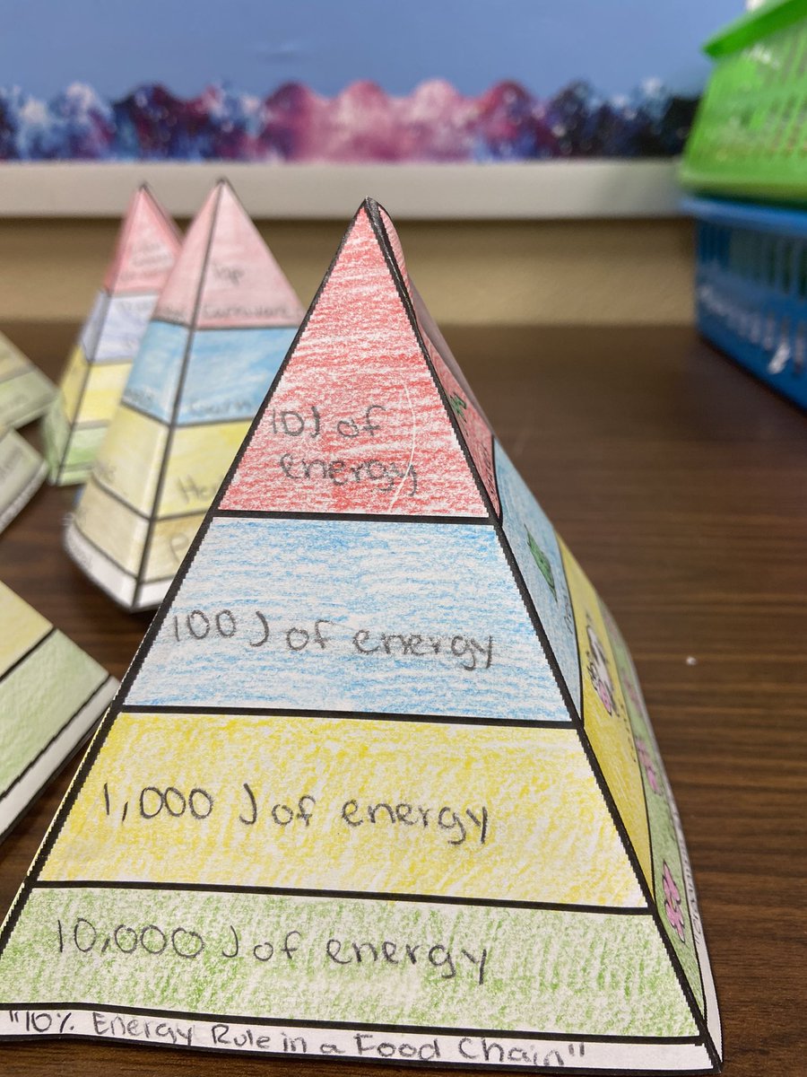 CyprianPungong's tweet photo. Enjoying my AVID students . They created these ecological pyramids to exemplify energy flow in an Ecosystem @MrsShaw_TCC @MrBaskett_Lex1 @TCC_Lexington1 https://t.co/X3e9qNYs6t