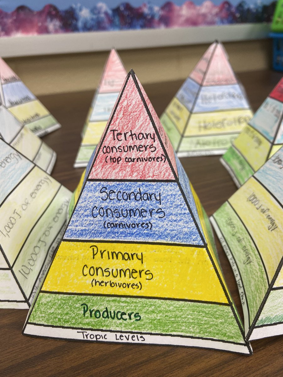CyprianPungong's tweet photo. Enjoying my AVID students . They created these ecological pyramids to exemplify energy flow in an Ecosystem @MrsShaw_TCC @MrBaskett_Lex1 @TCC_Lexington1 https://t.co/X3e9qNYs6t