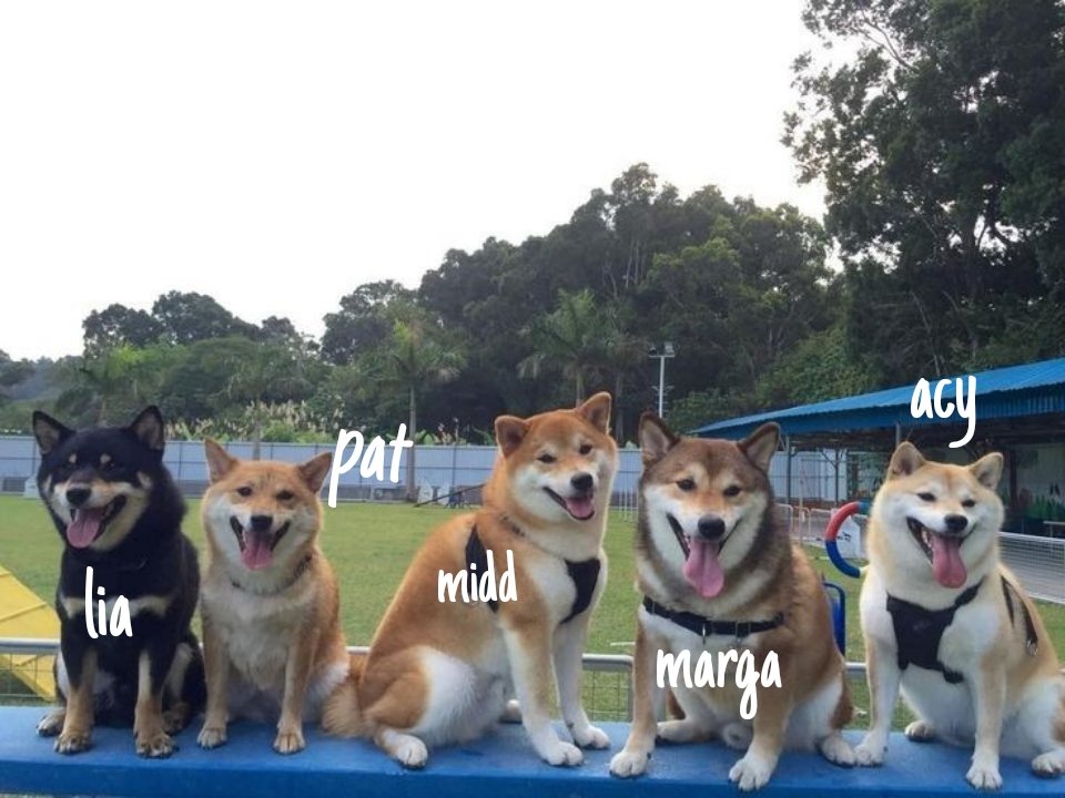 bigbadingtheory's tweet photo. elow happy 6th monthsary to us mga marites! @kchaeq @/drei @kchaewns @clingyena @starlighteunb @kmjyuls @/lia @flrtshyewon @yurithomy @lunamalu69691 @usermingatto cute natin https://t.co/3uJc1Mvpba