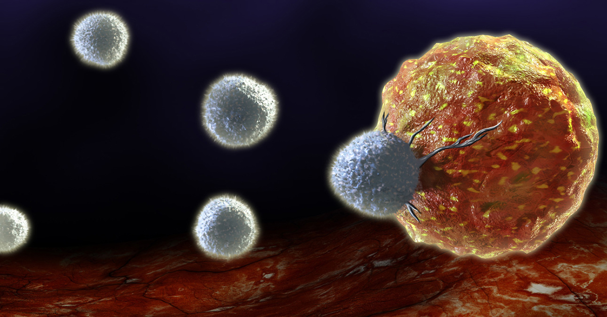 TakaraBioUSA's tweet photo. #TGSThursday
Researchers from @fredhutch mapped fusion-specific targets across the genome for diverse KMT2A oncofusion proteins, often associated with acute myeloid and lymphoid leukemias.
Read more: https://t.co/idOgDGT1w1
#AML #ALL #leukemia #oncology #cancer #research https://t.co/TAvI2YjE2c