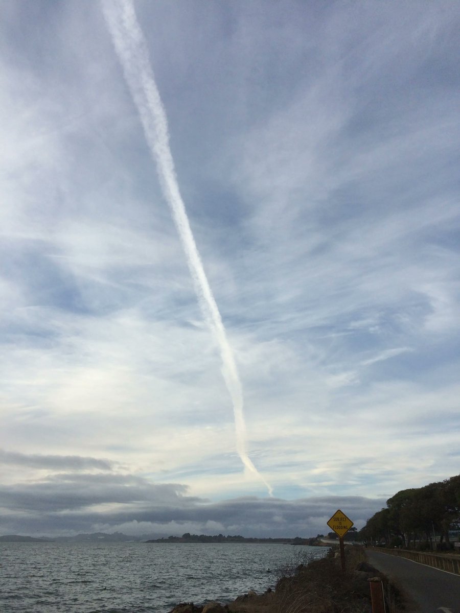 ProjektRecords's tweet photo. >S< #ForrestFang #LongWalks #walks https://t.co/jNXGgf6UaD