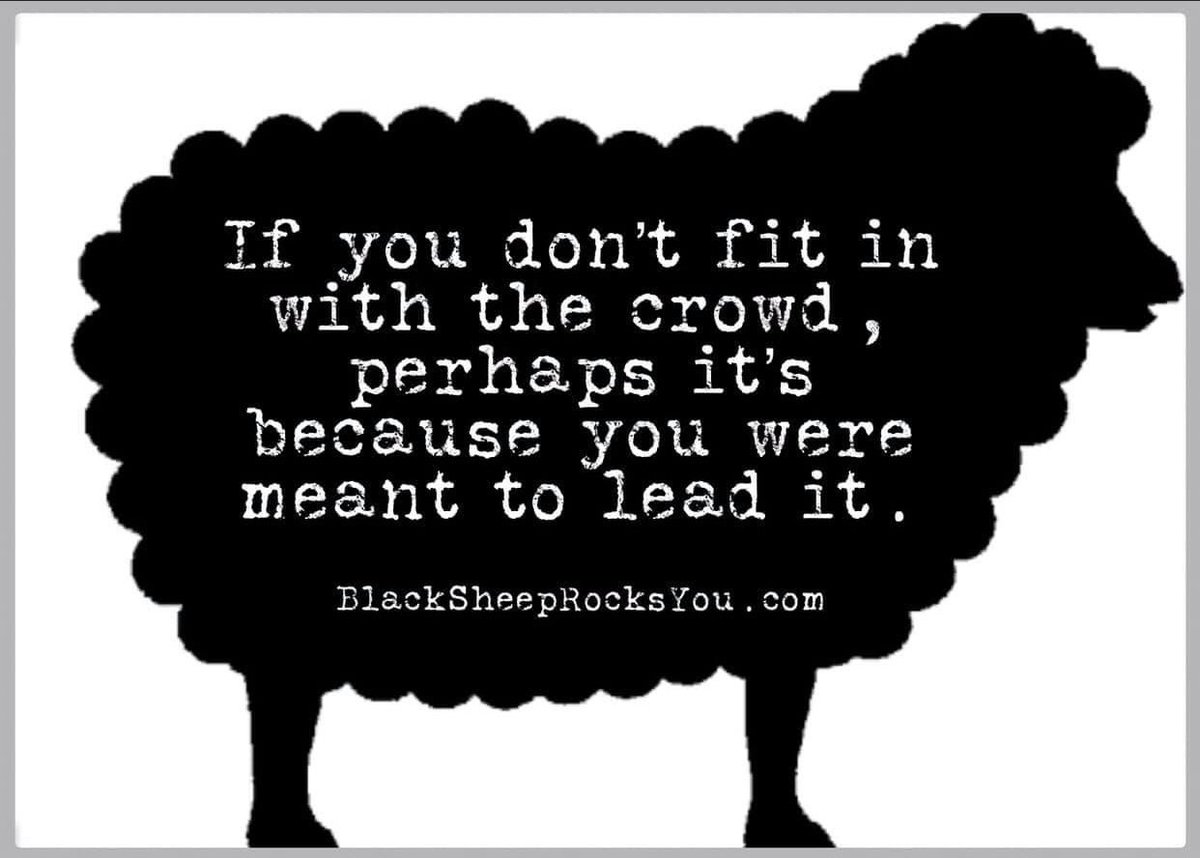 Black_Sheep_Rok's tweet photo. We’ll just leave this right here.👊🏻
#blacksheeprocksyou #createdforthis #musician #leadership #standout #stepup #purpose #goals #music #passion #thinkbig #dreams #beyou https://t.co/OG9jUDF8CP