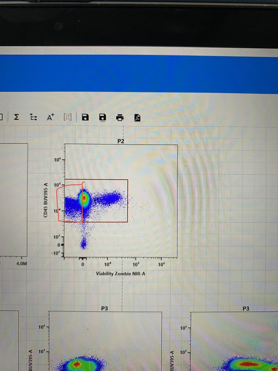 Dr. Jessica Vazquez tweet media