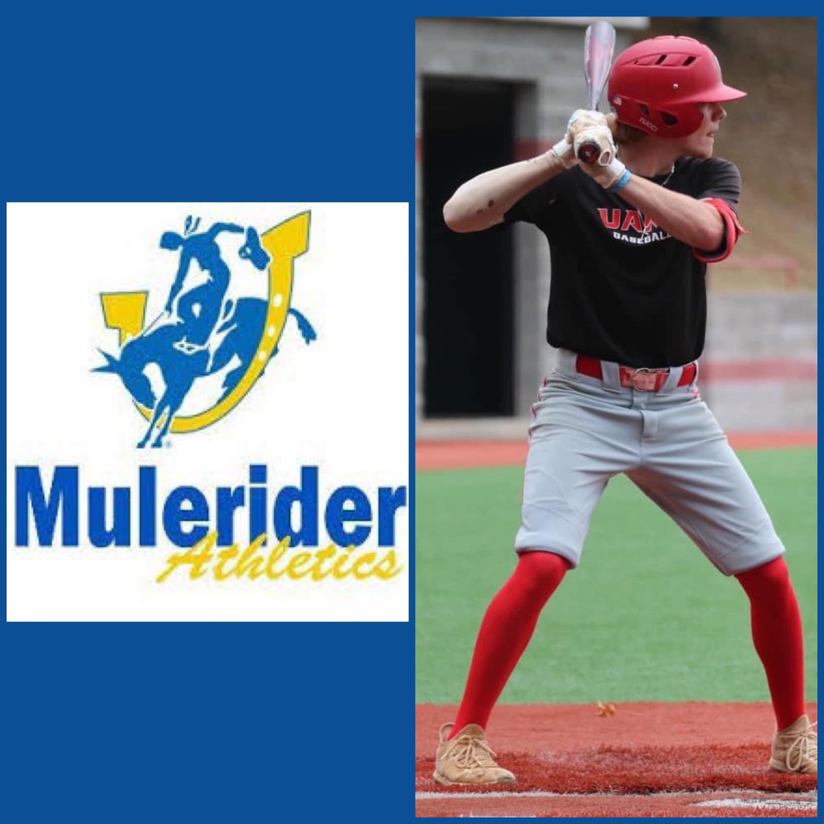 Chase webb tweet media