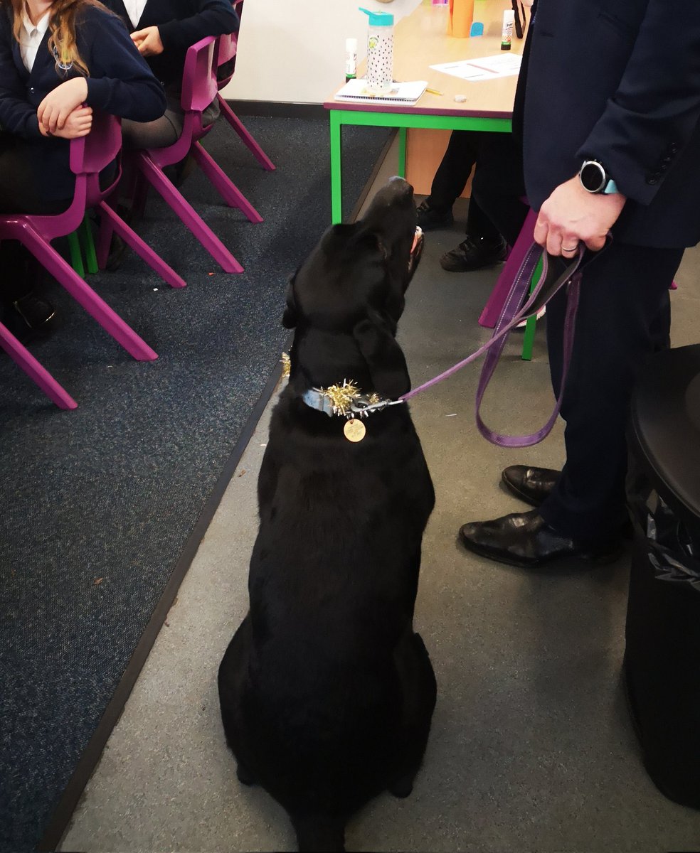 EckingtonSchool's tweet image. The Christmas therapy dog was out and about today, visiting Renishaw Primary School with Mr Melson! He seemed very popular, although not sure about Mr Melson… #valueeveryone @RenishawPS