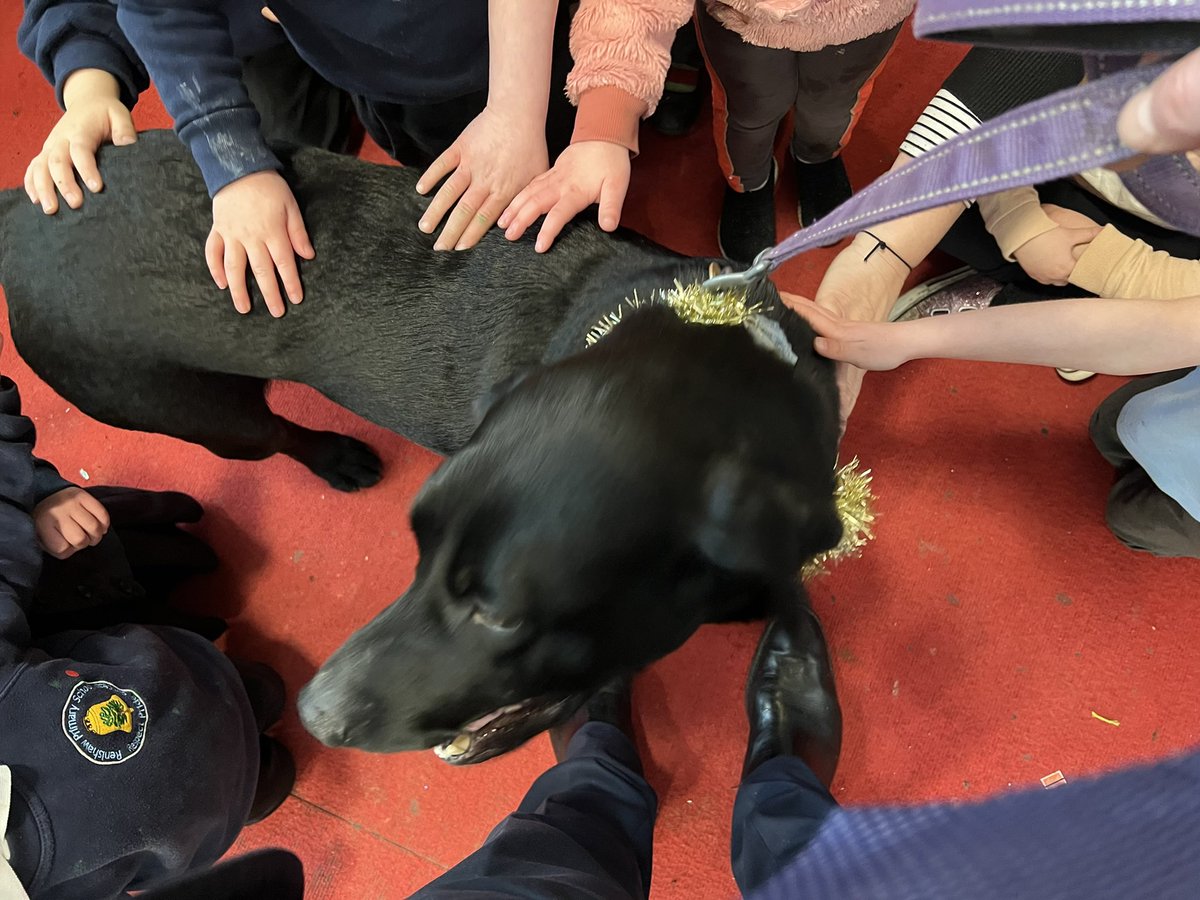 EckingtonSchool's tweet image. The Christmas therapy dog was out and about today, visiting Renishaw Primary School with Mr Melson! He seemed very popular, although not sure about Mr Melson… #valueeveryone @RenishawPS