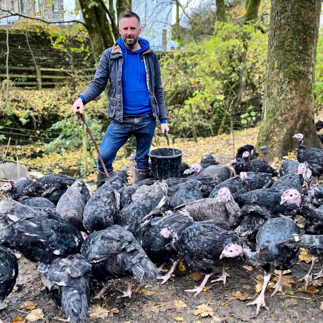 INTERWEB- Can you do your thing please?

I’ve got some turkeys left (mainly to serve up to 6 people) and I’m now starting to worry that I won’t shift them all, with Christmas just two weeks away.

These aren’t just any old turkeys.